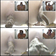 A decent Japanese bowlcam pooping video featuring many different women shitting. Picture in picture shows us their facial expressions as they poop. About 1.5 hours. 707MB, MP4 file requires high-speed Internet.